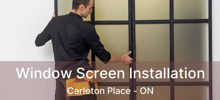  Window Screen Installation Carleton Place - ON