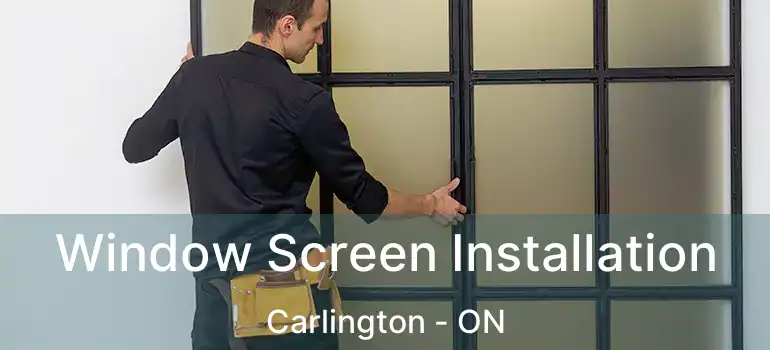  Window Screen Installation Carlington - ON