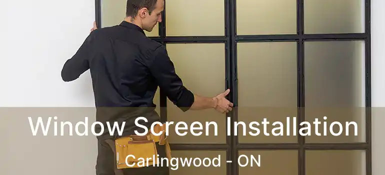  Window Screen Installation Carlingwood - ON