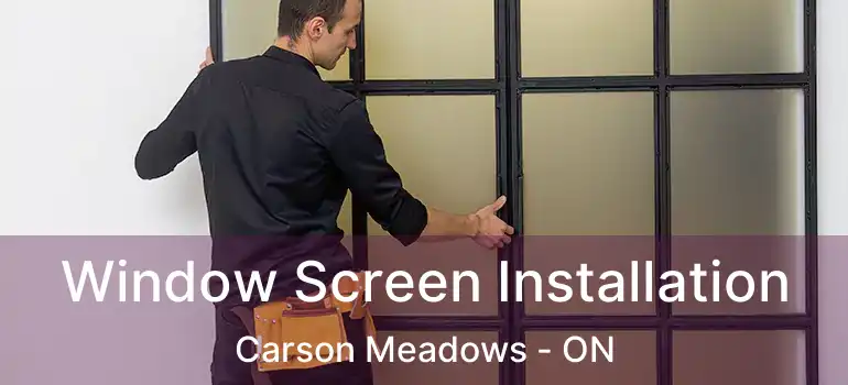  Window Screen Installation Carson Meadows - ON