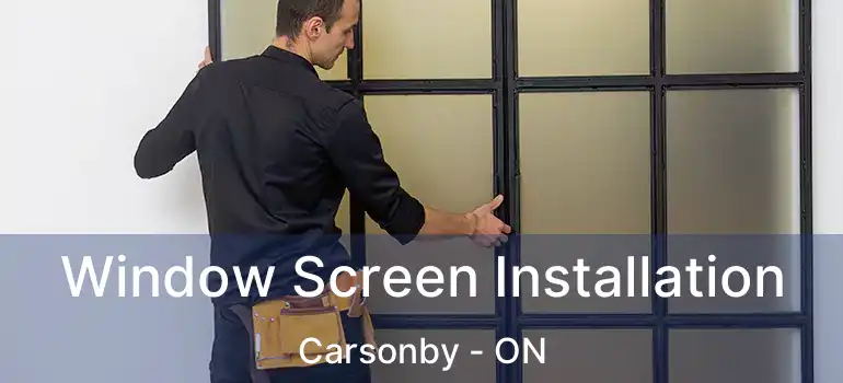  Window Screen Installation Carsonby - ON