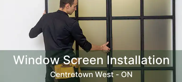  Window Screen Installation Centretown West - ON