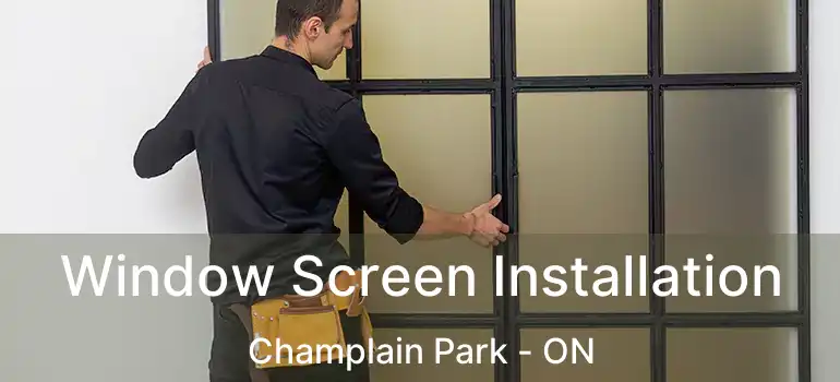  Window Screen Installation Champlain Park - ON