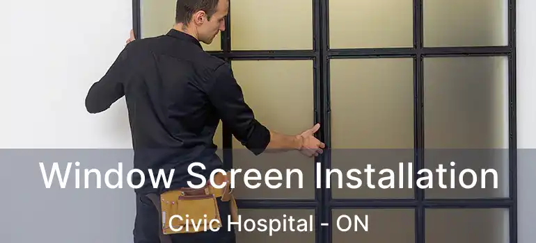  Window Screen Installation Civic Hospital - ON