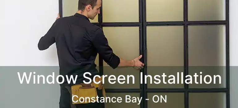  Window Screen Installation Constance Bay - ON