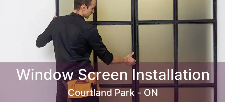  Window Screen Installation Courtland Park - ON