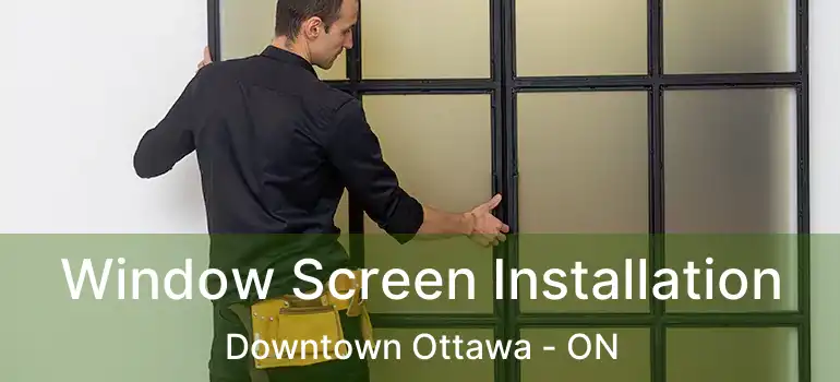  Window Screen Installation Downtown Ottawa - ON