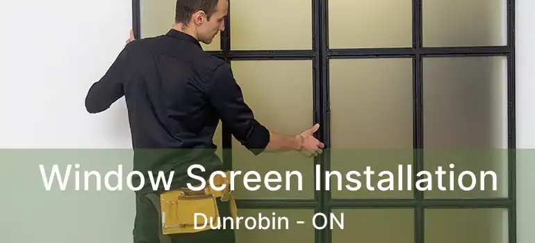  Window Screen Installation Dunrobin - ON