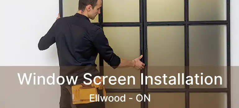  Window Screen Installation Ellwood - ON