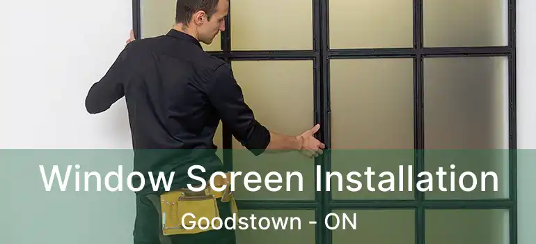  Window Screen Installation Goodstown - ON