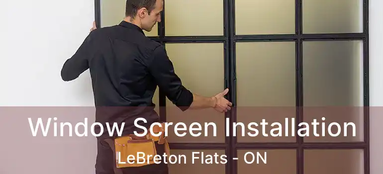  Window Screen Installation LeBreton Flats - ON