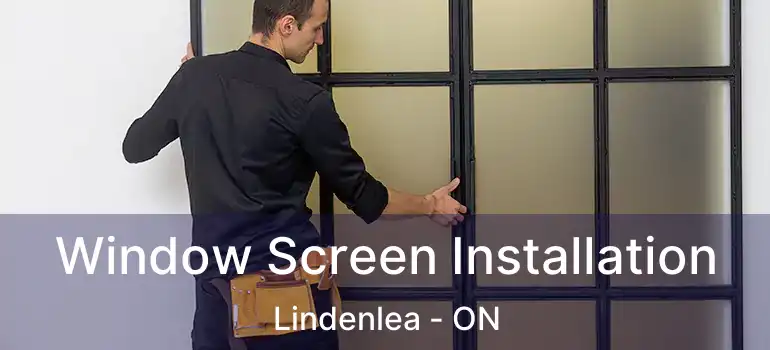  Window Screen Installation Lindenlea - ON