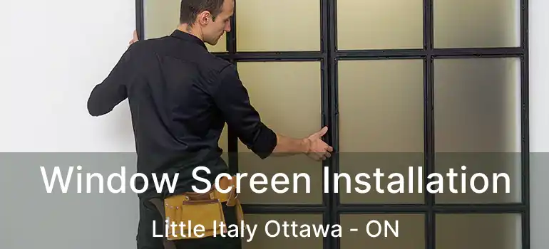  Window Screen Installation Little Italy Ottawa - ON