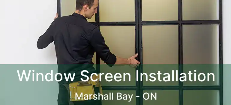  Window Screen Installation Marshall Bay - ON