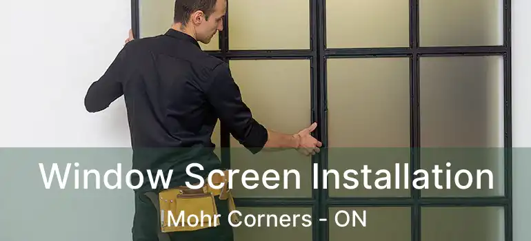  Window Screen Installation Mohr Corners - ON