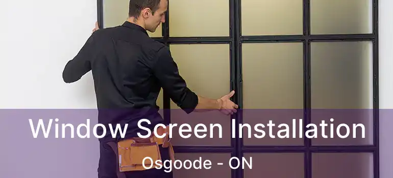  Window Screen Installation Osgoode - ON