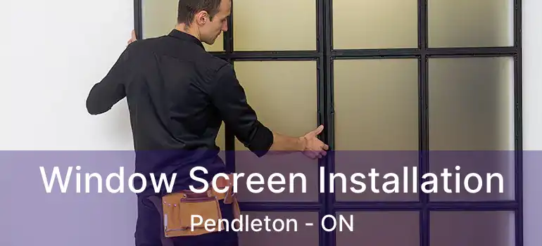  Window Screen Installation Pendleton - ON