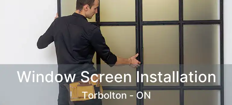  Window Screen Installation Torbolton - ON