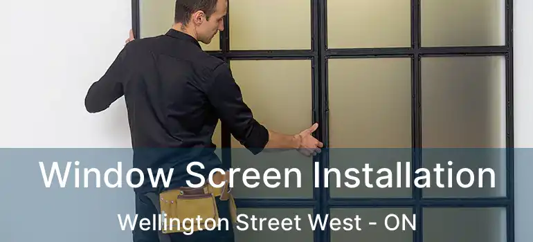  Window Screen Installation Wellington Street West - ON