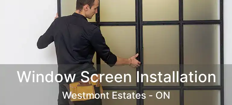  Window Screen Installation Westmont Estates - ON