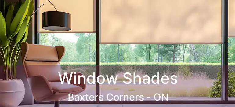  Window Shades Baxters Corners - ON