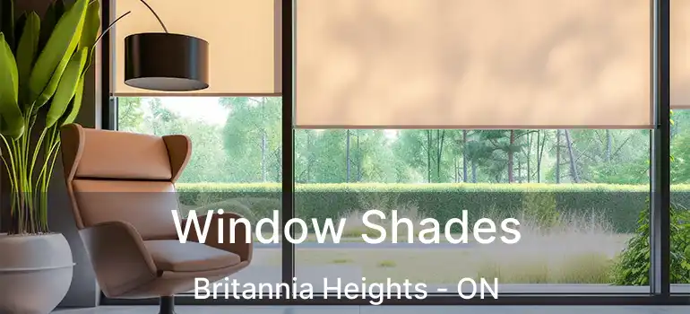  Window Shades Britannia Heights - ON