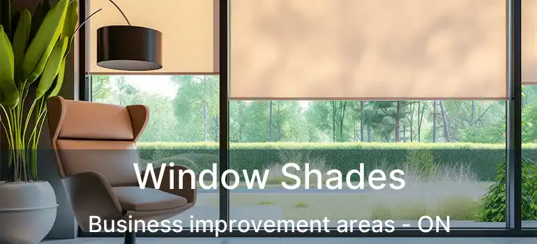  Window Shades Business improvement areas - ON