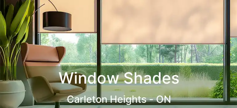  Window Shades Carleton Heights - ON