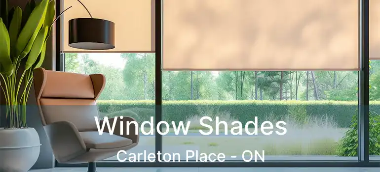  Window Shades Carleton Place - ON