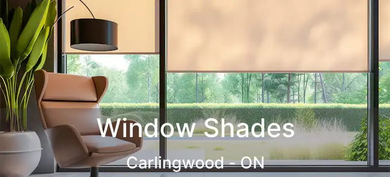  Window Shades Carlingwood - ON