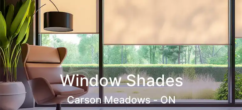  Window Shades Carson Meadows - ON