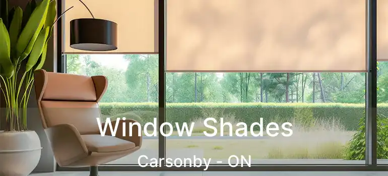  Window Shades Carsonby - ON