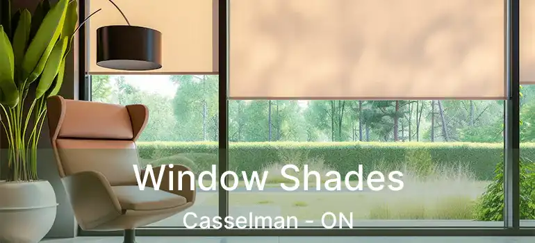  Window Shades Casselman - ON