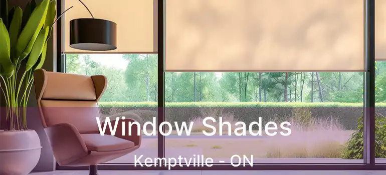  Window Shades Kemptville - ON