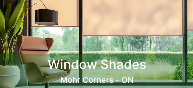  Window Shades Mohr Corners - ON