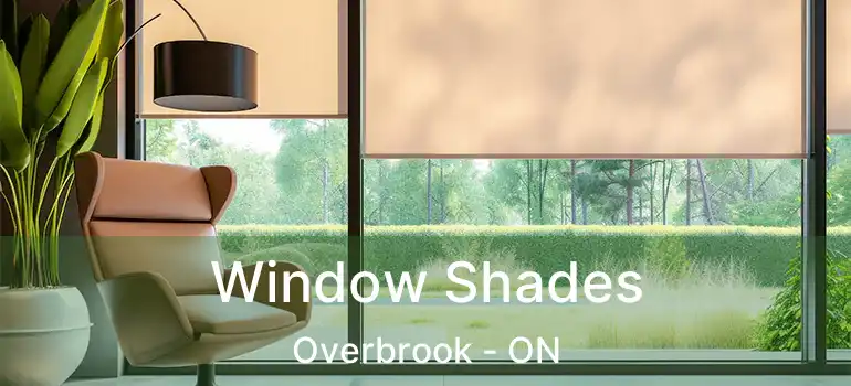  Window Shades Overbrook - ON