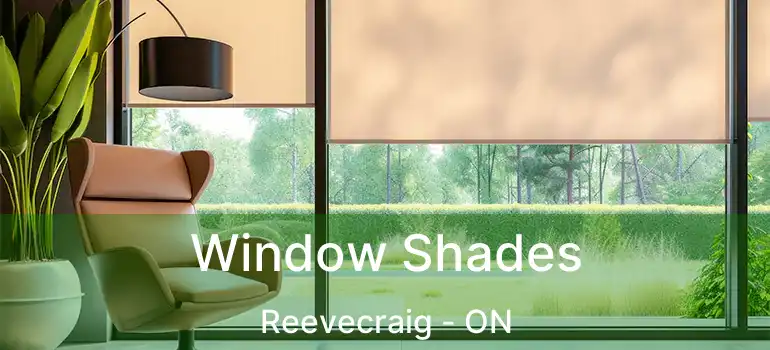  Window Shades Reevecraig - ON