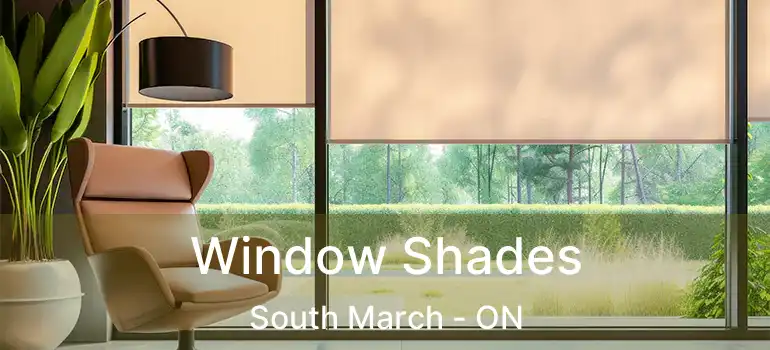  Window Shades South March - ON