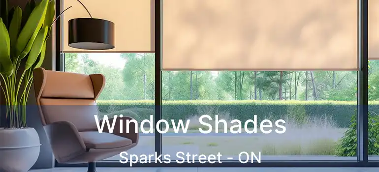  Window Shades Sparks Street - ON