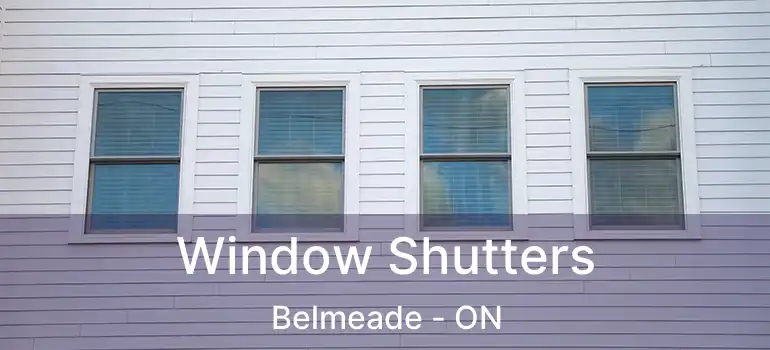  Window Shutters Belmeade - ON