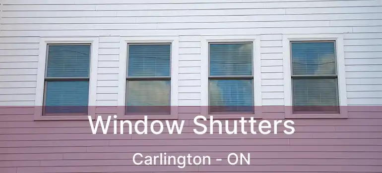  Window Shutters Carlington - ON