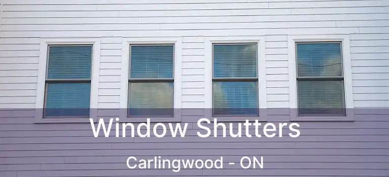  Window Shutters Carlingwood - ON