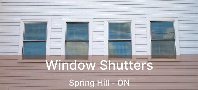  Window Shutters Spring Hill - ON