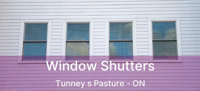  Window Shutters Tunney s Pasture - ON