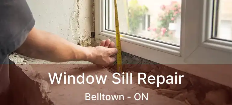  Window Sill Repair Belltown - ON