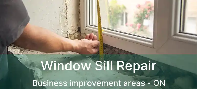  Window Sill Repair Business improvement areas - ON