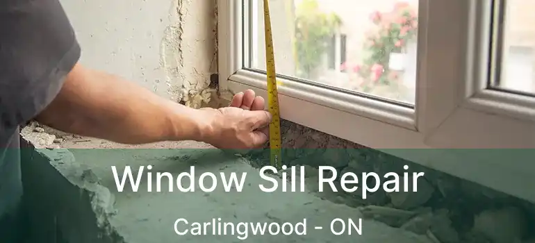  Window Sill Repair Carlingwood - ON