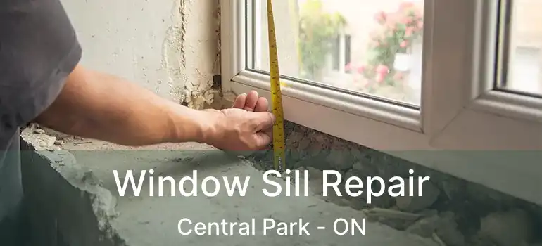  Window Sill Repair Central Park - ON