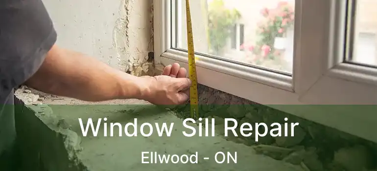  Window Sill Repair Ellwood - ON