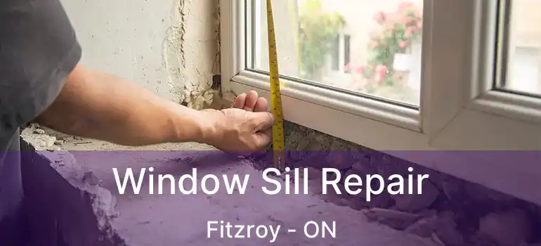  Window Sill Repair Fitzroy - ON